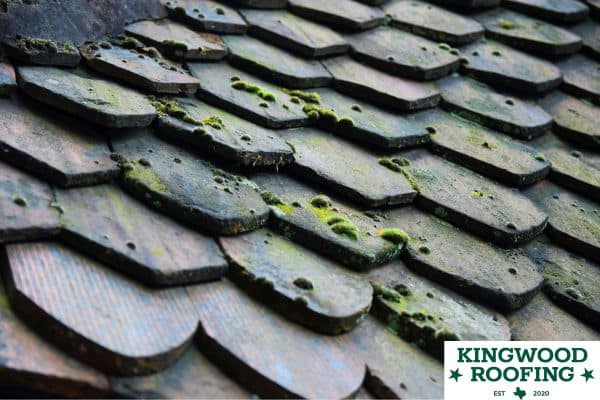 expert roof inspections Kingwood TX